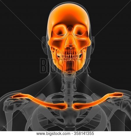 Joint Pain Can Be Caused By Injury Affecting Any Of The Ligaments, Bursae, Or Tendons Surrounding Th