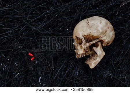 A Human Skull On A Black Background Of Burnt Grass With Red Capsules Of Medical Drugs. A Symbol Of H
