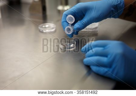 The process of artificial insemination in IVF clinic. Hands doctor in blue rubber gloves produce che