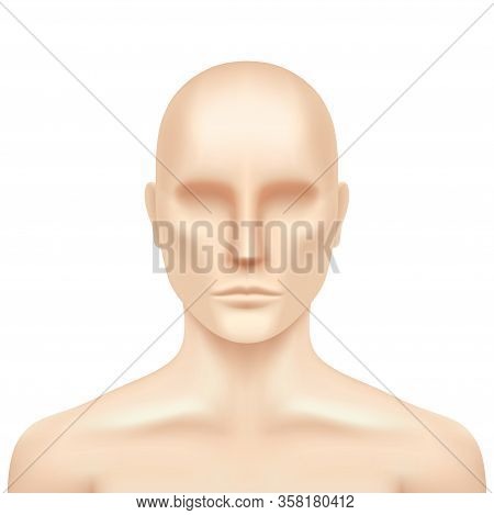 Vector Human Model Isolated O A White Background. Plastic Dummy Torso, Realistic Illustration. Manne