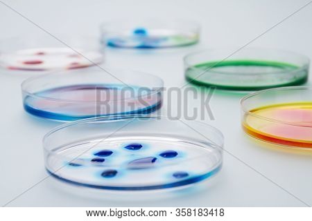 Medicine Petri Dishes With Different Reagents. Isolated On White Background.