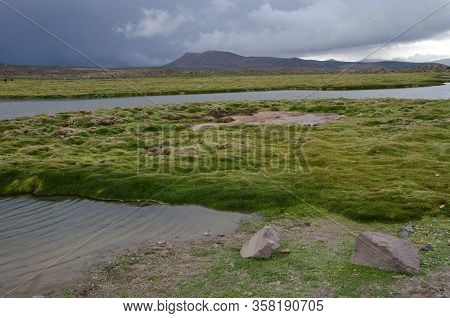 Meadows And Lagoon In Parinacota. Lauca National Park. Arica Y Parinacota Region. Chile.