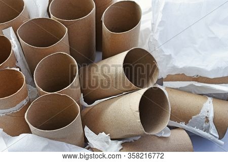A Close Up Image Of Several Empty Toilet Tissue Rolls.