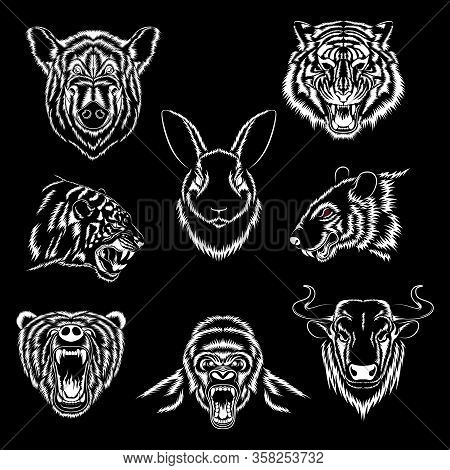 Set Of Vector Images Of Animals. Bear, Tigers, Bull, Wild Boar, Rat, Gorilla, Hare. White Images On 