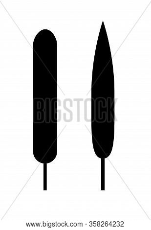 Leaf Silhouette Vector. Black Shape With Linear And Subulate Leaf Shape.