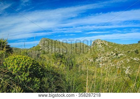 View Over Parc Natural De La Peninsula De Llevant On The Island Of Mallorca, Spain