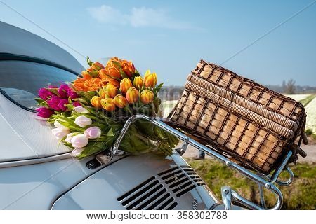 Lisse Netherlands April 2019, A Classic, White Volkswagen Beetle Car On A Flower Covered Meadow In T
