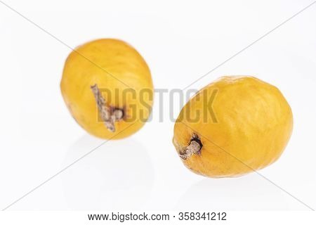 Spondias Purpurea - Plum, Jobo, Xocote, Plum Of Huesito, Jocote, Cocota