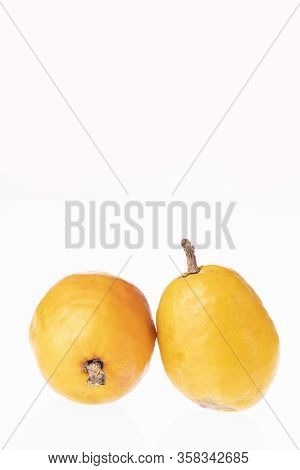 Spondias Purpurea - Plum, Jobo, Xocote, Plum Of Huesito, Jocote, Cocota