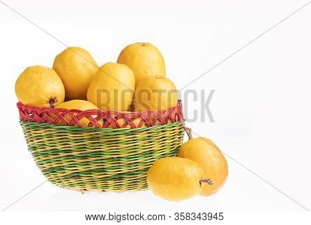 Spondias Purpurea - Plum, Jobo, Xocote, Plum Of Huesito, Jocote, Cocota