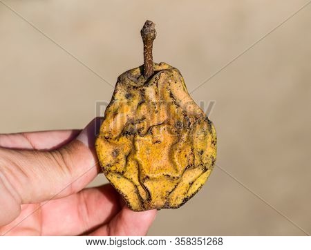 Dried Pear Fruit. Dried Pear Dried Fruits From The Garden.