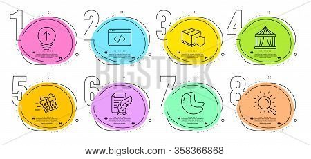 Present Delivery, Circus Tent And Search Signs. Timeline Steps Infographic. Cashew Nut, Feather Sign