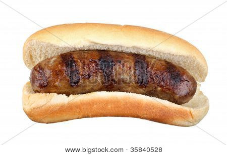 Grillet Bratwurst isoleret
