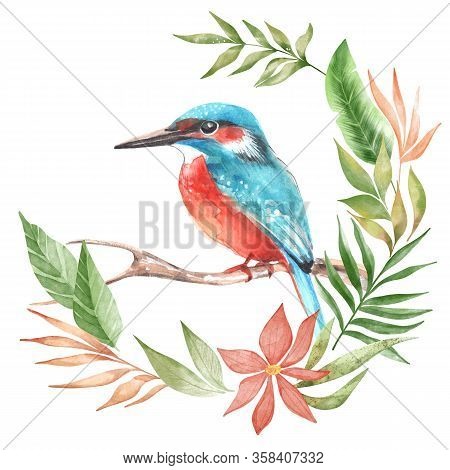 Watercolor Bird Kingfisher On Branch. Hand Painted Illustration On White Background