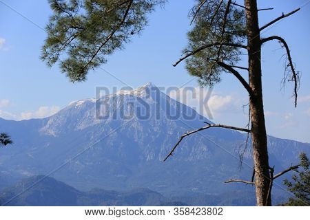 nice landscape with Tahtali Dagi mountains in Turkey; view from pine forest on Likya Yolu tourist  path in Turkey