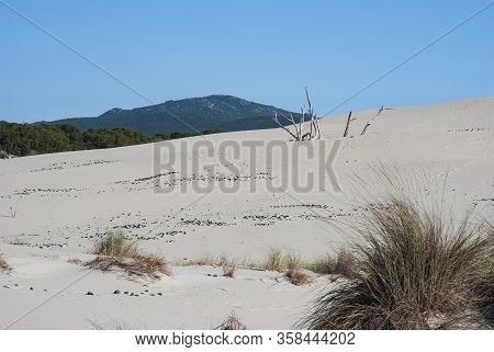 View Of The White Dunes Of Arenas Beach, Teulada