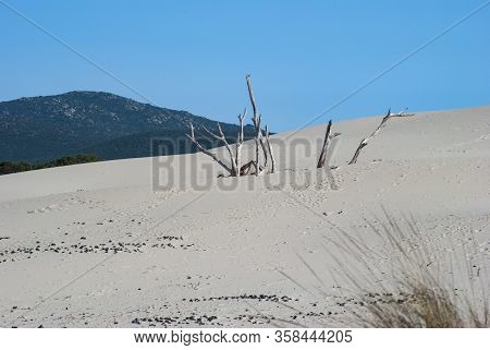 View Of The White Dunes Of Arenas Beach, Teulada