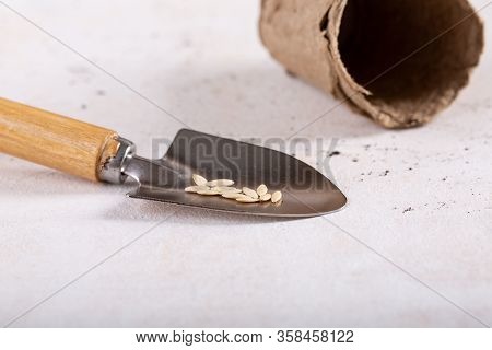 Сucumber Seeds On A Garden Scoop And Peat Pots On White Background. Springtime, Gardening Concept. C