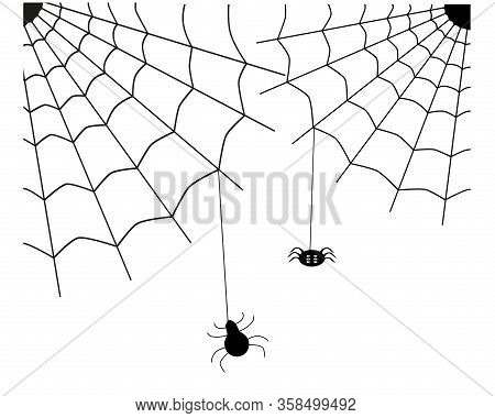 Spiders Knit A Spider Web.illustration For Halloween.vector