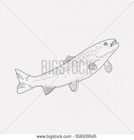 Trout Fish Icon Line Element. Illustration Of Trout Fish Icon Line Isolated On Clean Background For 