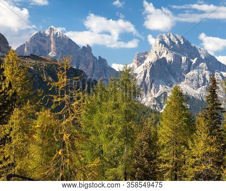 Larch Wood And Tofano, Tofana Or Le Tofane Gruppe, Alps Dolomites Mountains, Italy