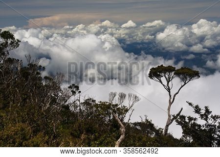 View From Ascent To Mount Kinabalu - Borneo, Malysia