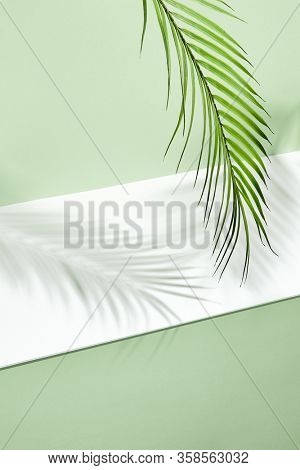Abstract background of shadows palm leafs on green wall and white floor. Creative summer minimal mock-up. Flat lay, top view. Tropical leaves. Fashion summer photo. Jungle palm leaves.
