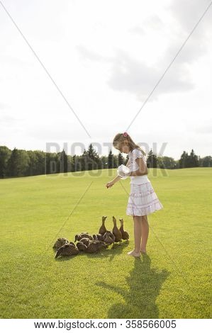 Girl Or Female Teenager Feeding Small Brown Ducks. Stand In Park On In Middle Of Green Meadow. Alone