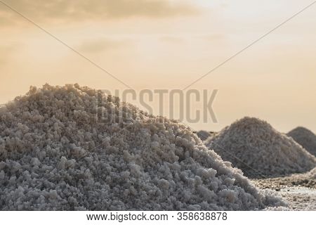 Not Sifted Sea Salt Piles In Evaporation Pond In Thailand During Early Morning Time And Illuminated 