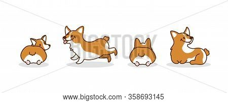 Cute Corgi Dogs. Puppy. Hand Drawn Corgi Dogs. Vector