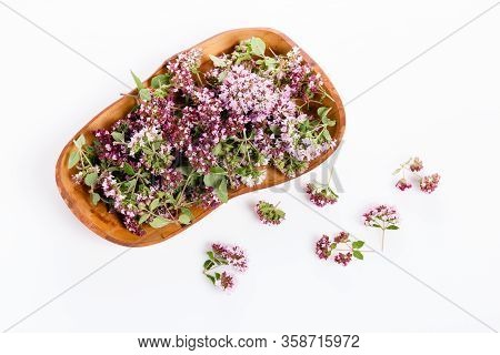 Purple Flowers Of Origanum Vulgare Or Common Oregano, Wild Marjoram.