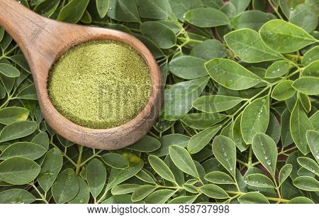 Fresh Leaves And Moringa Powder - Moringa Oleifera. Top View
