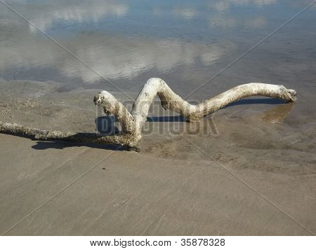 North Sea