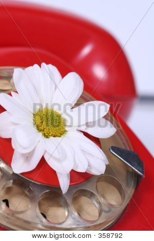 Gamla telefon och vit blomma