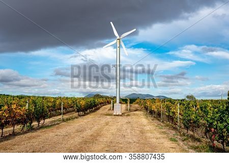 Day 6. Martinborough, Wairarapa / New Zealand April 01, 2020 Cycling Around The Vineyards During The