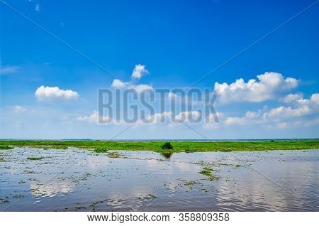 Algae Filled Backwaters With A Clear Blue Sky Reflecting In The Water. From Kerala, India.