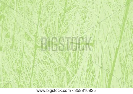 Abstract Light Green Background With Copy Space For Design.