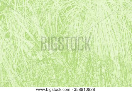 Abstract Light Green Background With Copy Space For Design.