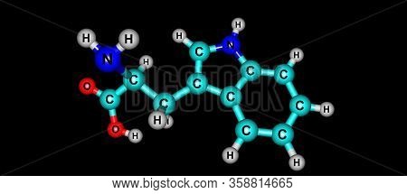 Tryptophan Or Trp Is An Amino Acid That Is Used In The Biosynthesis Of Proteins. 3d Illustration