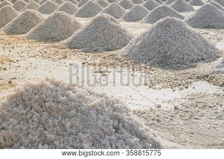 Not Sifted Sea Salt Piles In Evaporation Pond In Thailand During Early Morning Time And Illuminated 