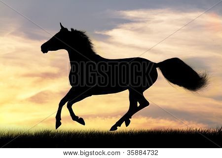 Silhueta do cavalo