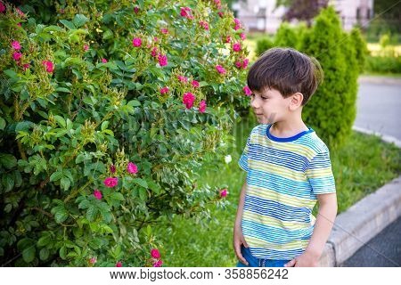 Little Boy Has Allergy To Blooming Flowers Playing Outdoor. Healthcare Concept