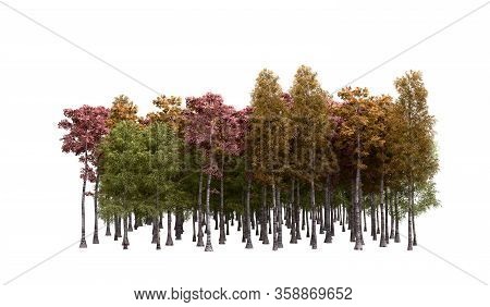 Green Trees Isolated On White Background Forest And Foliage In Autumn 3d Render On White No Shadow