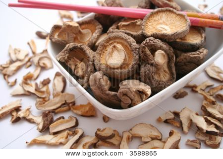 Funghi cinesi