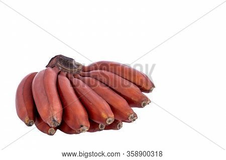 Fresh Red Banana Isolated On White Background. Group Of Varieties Of Banana With Reddish-purple Skin