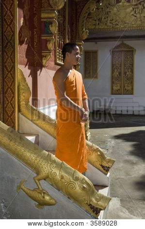 Buddhistic rahip, Luang Prabang, Laos