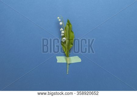 Lily Of The Valley Flower With Sticky Tape Isolated On Flat Lay Blue Background. Minimal Spring Wedd