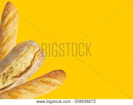 Freshly Baked Artisan Whole French Baguettes With Golden Crusty Floury Texture Ciabatta On Yellow Ba