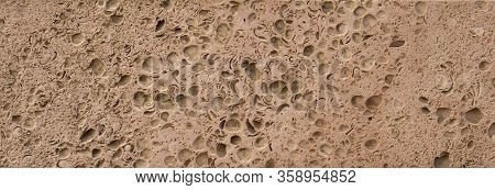 The Texture Of The Stone From The Sedimentary Deposits Of The Caspian Sea Used For Cladding Building
