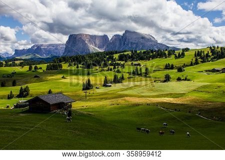 Seiser Alm In The Italian Dolomites On A Summer Day